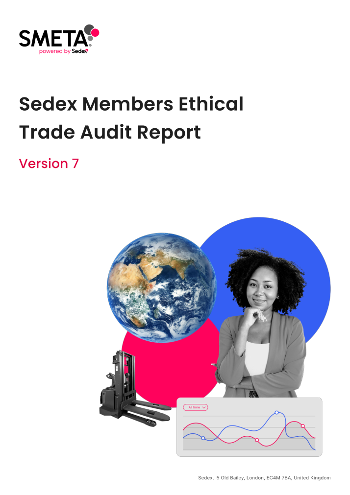 SMETA ethical audit report